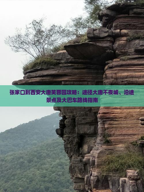 张家口到西安大唐芙蓉园攻略