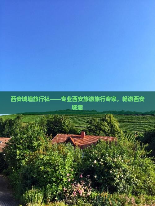 大丰去西安城墙旅行社