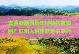 滨州去西安陕西历史博物馆自由团
