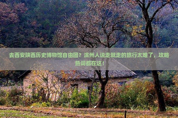 滨州去西安陕西历史博物馆自由团
