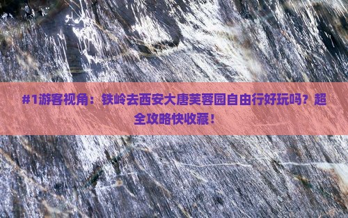 铁岭到西安大唐芙蓉园自由行