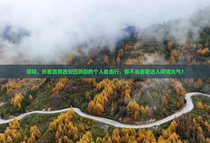 长春去西安回民街个人游