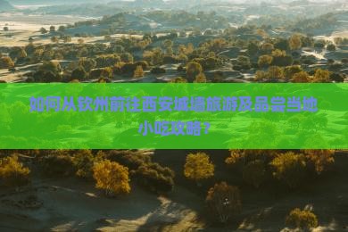 钦州去西安城墙旅游小吃