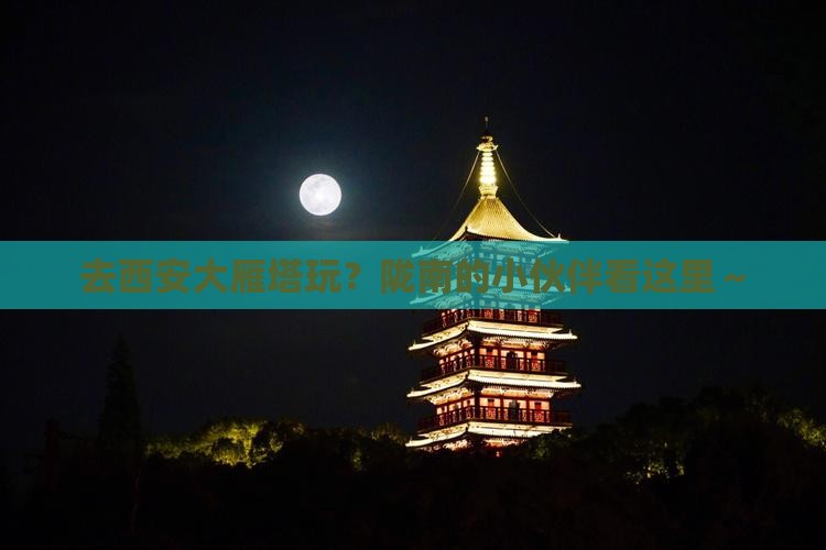 陇南去西安大雁塔哪里玩