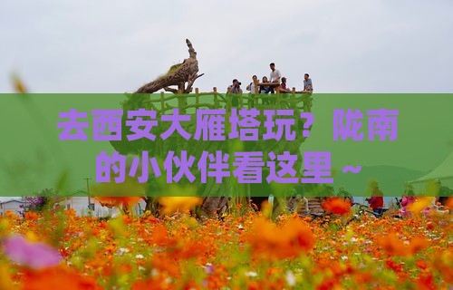 陇南去西安大雁塔哪里玩