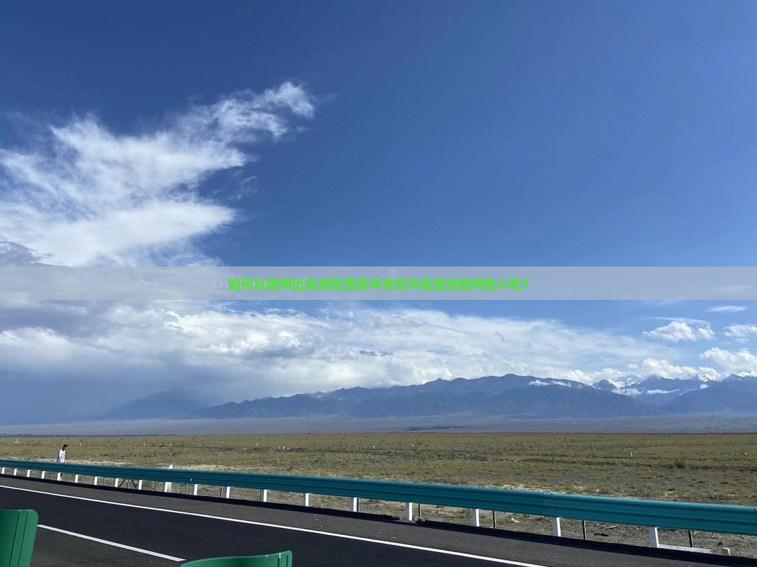 德州到西安华清宫旅游小吃