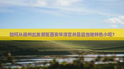 德州到西安华清宫旅游小吃