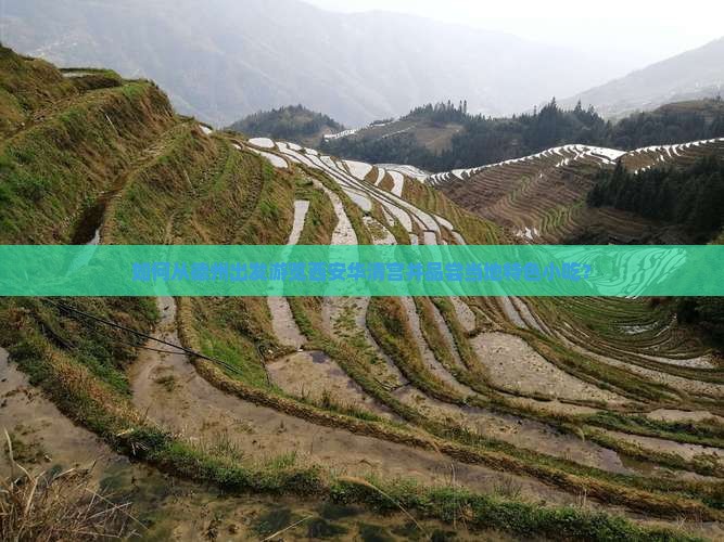 德州到西安华清宫旅游小吃
