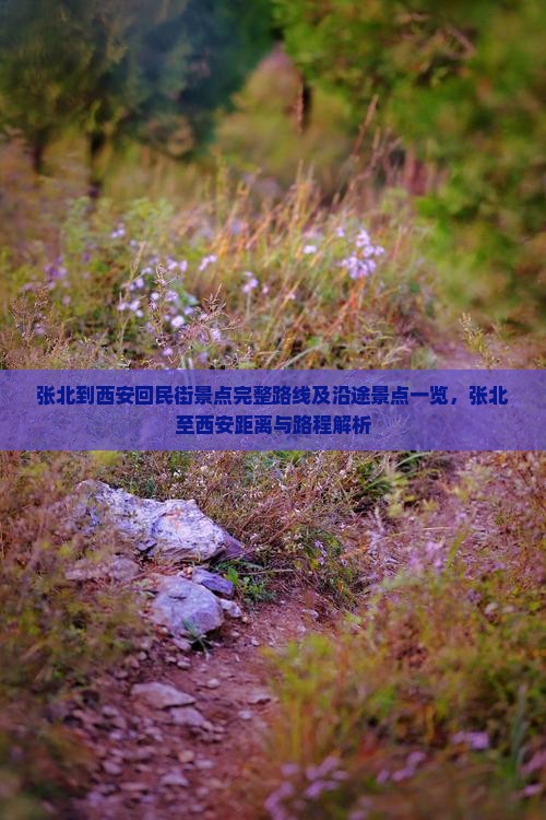张北到西安回民街景点