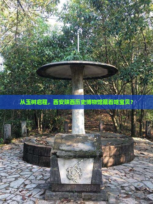 玉树到西安陕西历史博物馆哪里玩