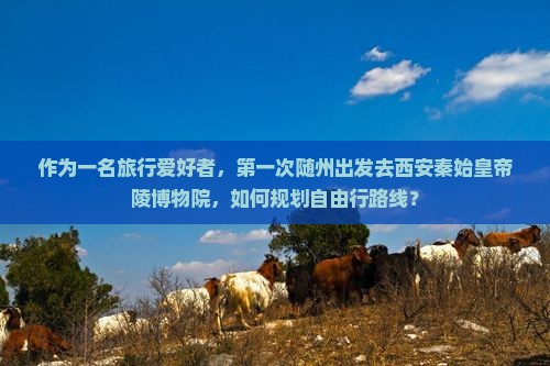 随州去西安秦始皇帝陵博物院自由行