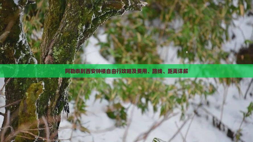 阿勒泰到西安钟楼自由行