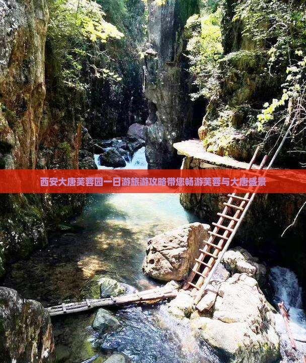 大丰去西安大唐芙蓉园一日游