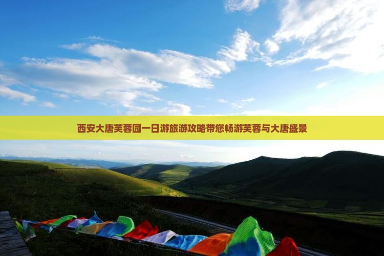 大丰去西安大唐芙蓉园一日游