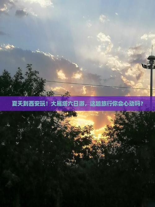 夏天到西安大雁塔六日游