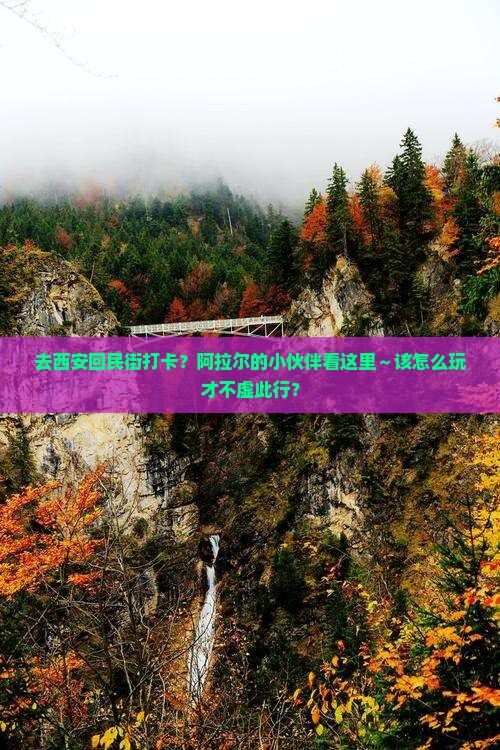 阿拉尔去西安回民街哪里玩