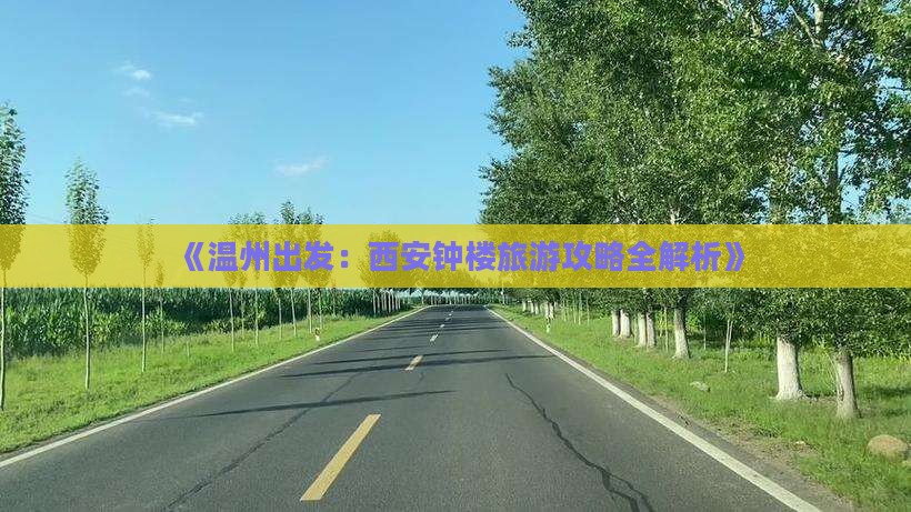 温州到西安钟楼个人游