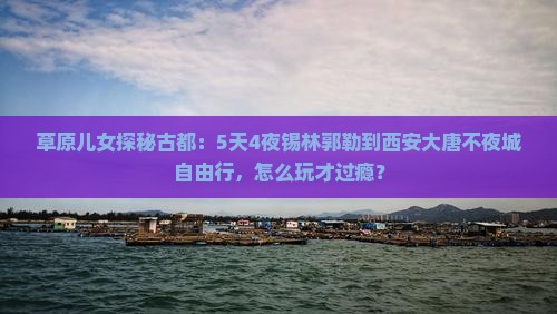 锡林郭勒盟去西安大唐不夜城自由行