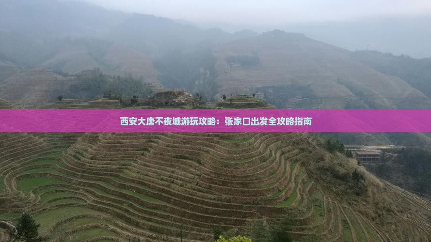 张家口去西安大唐不夜城哪里玩 张家口去西安大唐不夜城哪里玩
