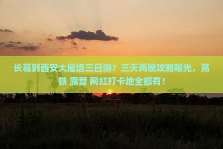 长葛到西安大雁塔三日游