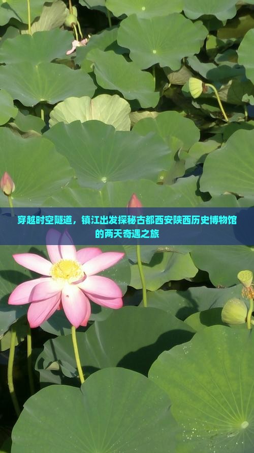 镇江去西安陕西历史博物馆二日游