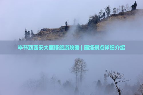 毕节去西安大雁塔自由团