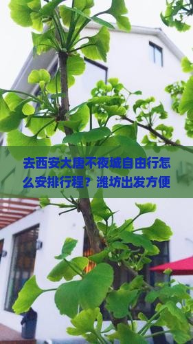潍坊去西安大唐不夜城自由团