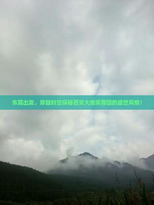 东莞到西安大唐芙蓉园自由行