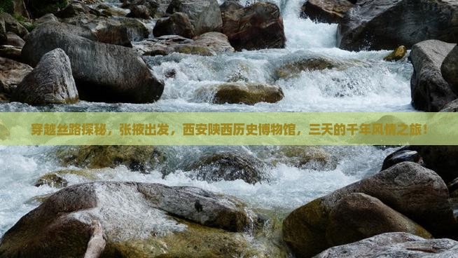 张掖到西安陕西历史博物馆三日游