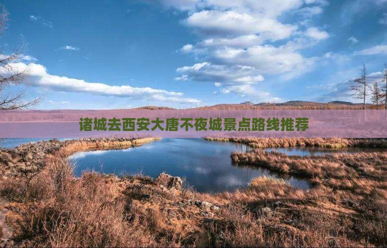 诸城去西安大唐不夜城景点