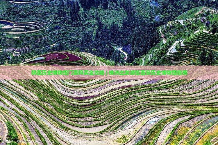 株洲到西安陕西历史博物馆门票