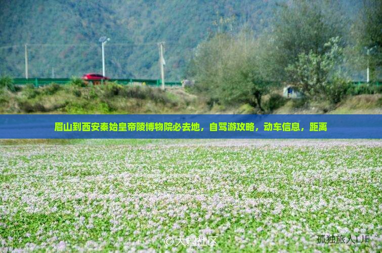 眉山到西安秦始皇帝陵博物院必去地