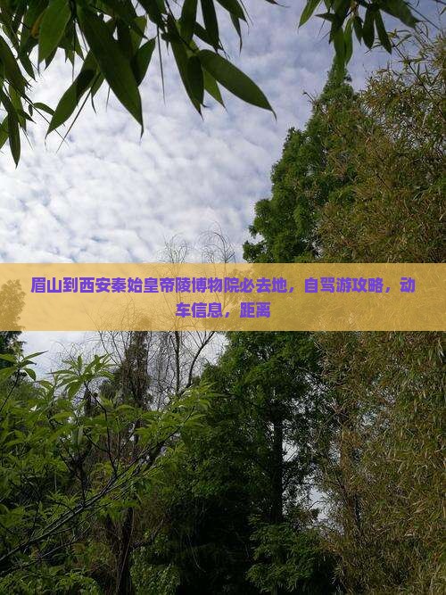 眉山到西安秦始皇帝陵博物院必去地