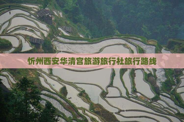 忻州到西安华清宫旅行社