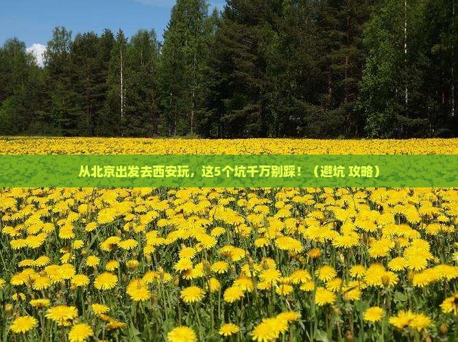 北京到西安秦始皇帝陵博物院景点