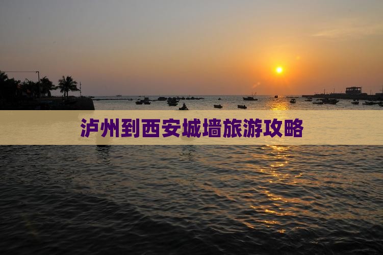 泸州到西安城墙哪里玩