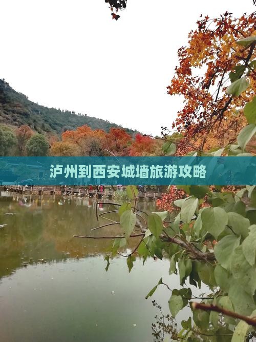 泸州到西安城墙哪里玩