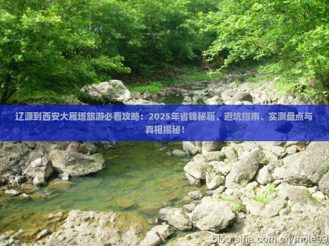 辽源到西安大雁塔旅行社