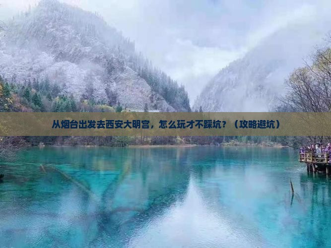 烟台去西安大明宫国家遗址公园旅行社