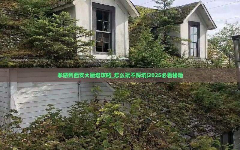 孝感到西安大雁塔攻略