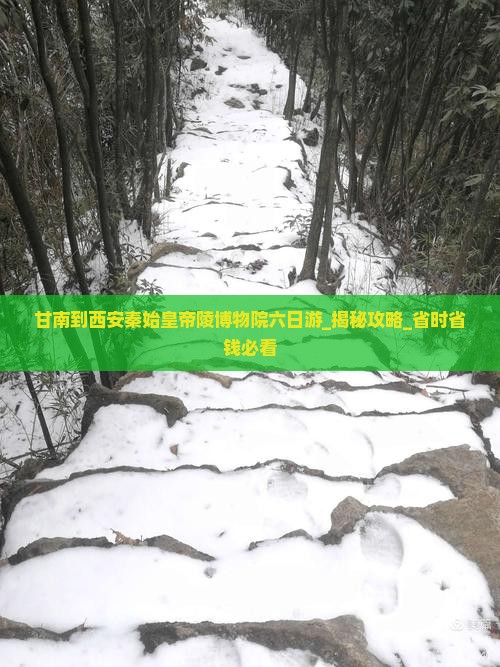 甘南到西安秦始皇帝陵博物院六日游