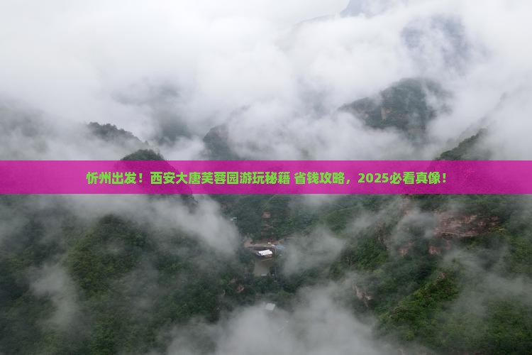 忻州去西安大唐芙蓉园景点