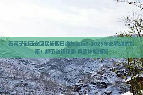 石河子到西安回民街四日游