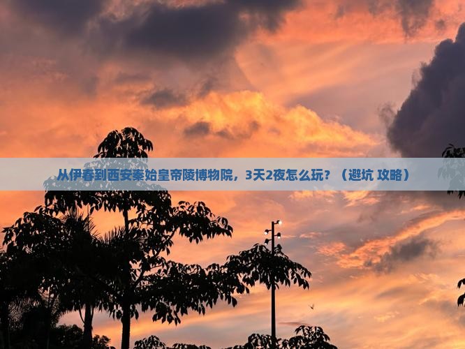 伊春到西安秦始皇帝陵博物院大型旅游团