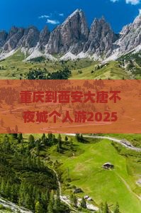重庆到西安大唐不夜城个人游