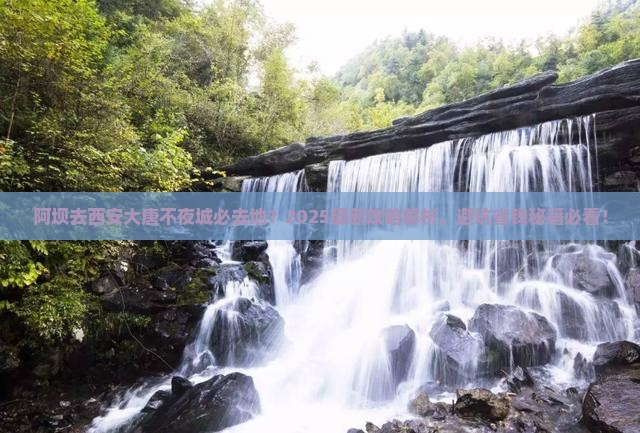 阿坝去西安大唐不夜城必去地