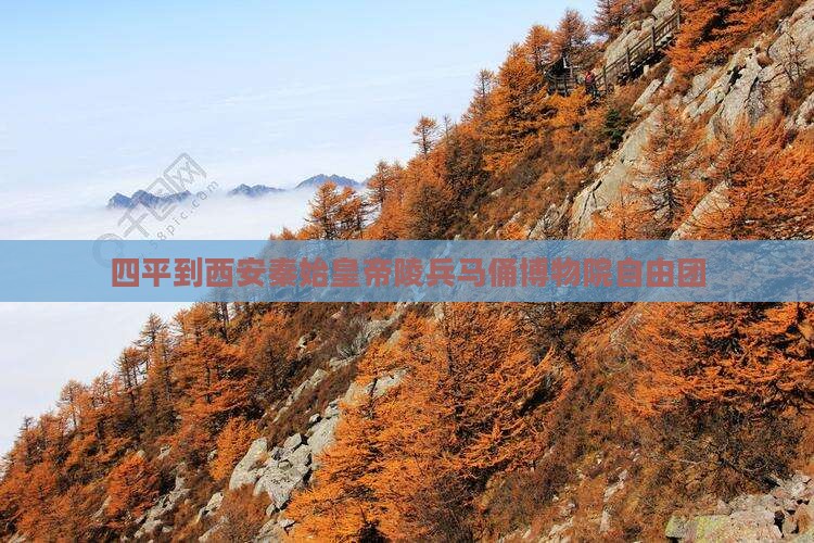 四平到西安秦始皇帝陵博物院自由团