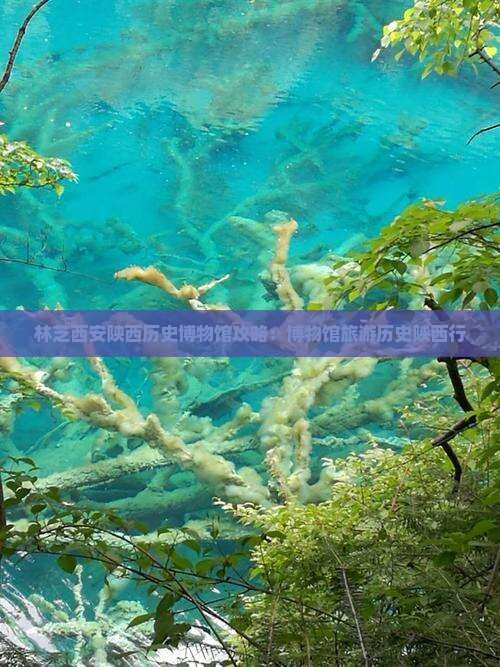 林芝去西安陕西历史博物馆团体旅游