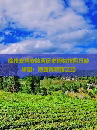 徐州去西安陕西历史博物馆四日游