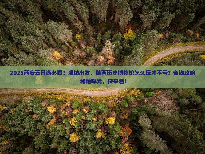 潍坊到西安陕西历史博物馆五日游